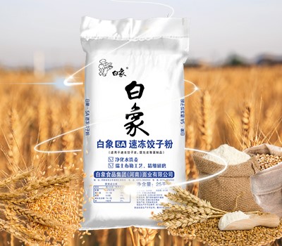 安博网页版登录入口5A速冻饺子粉