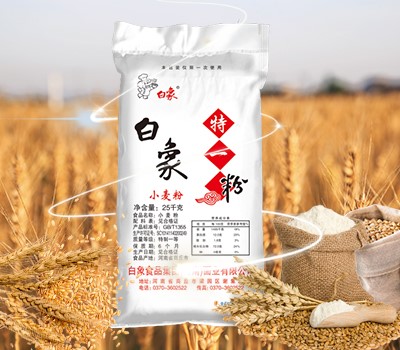安博网页版登录入口特一粉